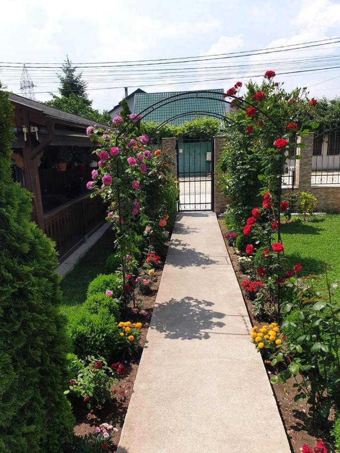 Vila Yna Năvodari Esterno foto